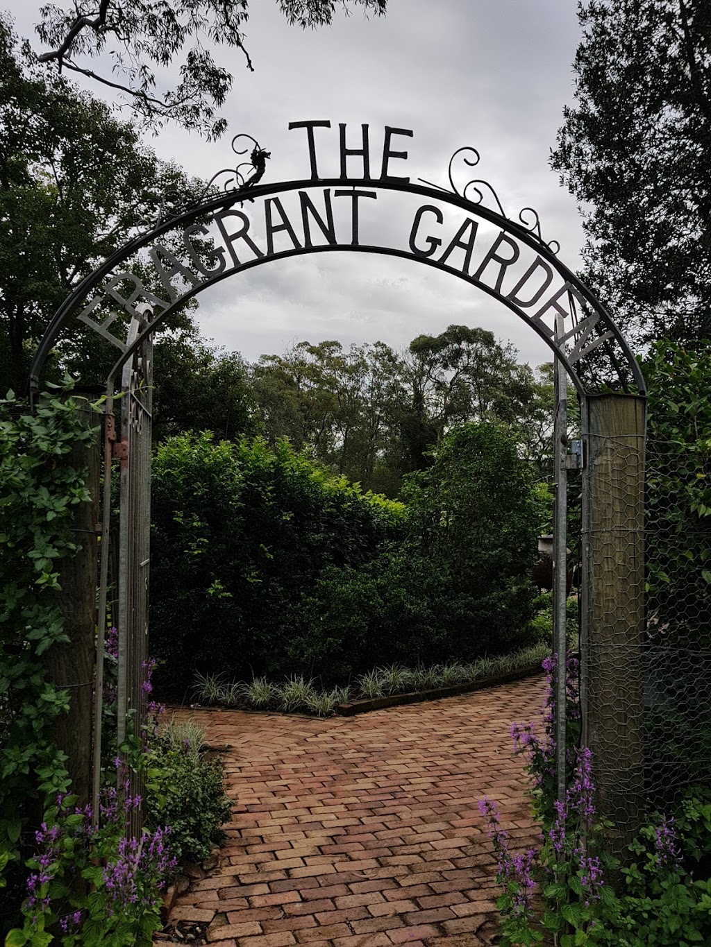 The Fragrant Garden | park | 25 Portsmouth Rd, Erina NSW 2250, Australia