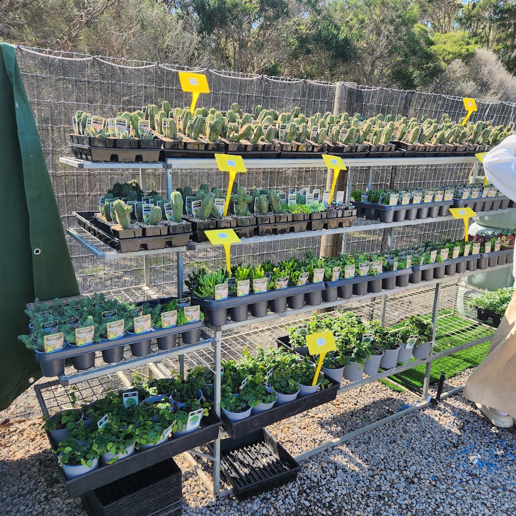 The Plant Guy | 20 Cross Rd, Devon Meadows VIC 3977, Australia | Phone: 0457 081 505