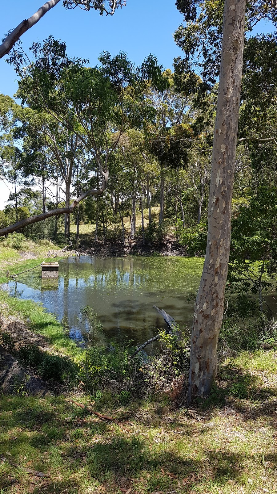 Cullunghutti Aboriginal Area | park | Far Meadow NSW 2535, Australia