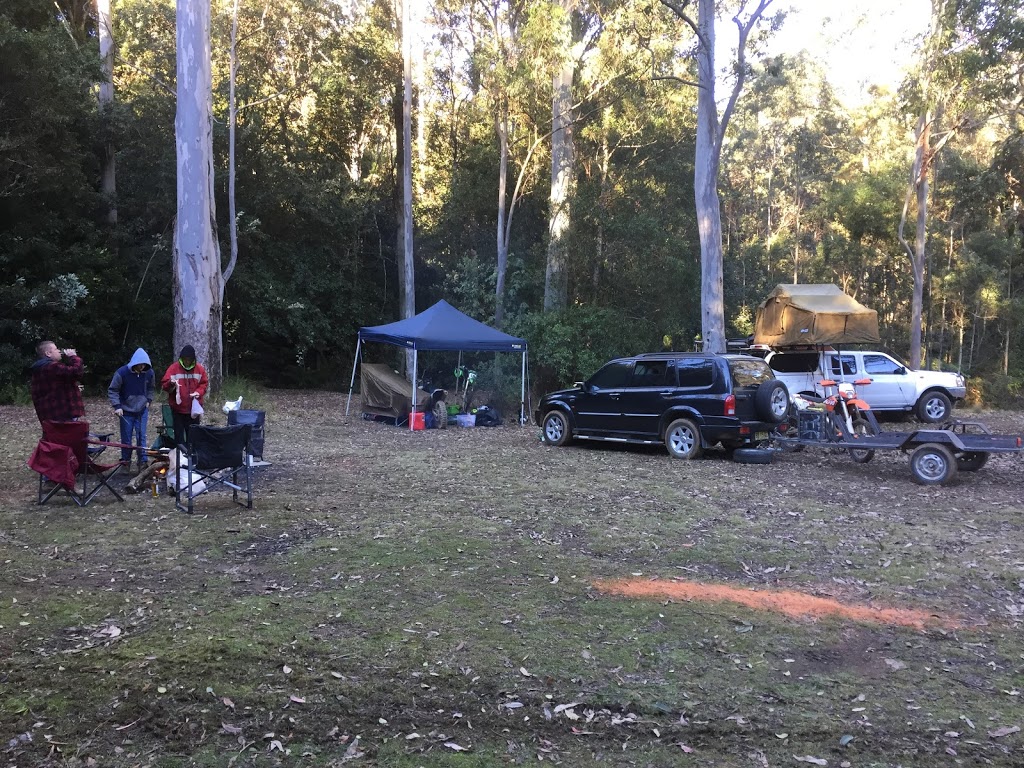 Maxwells Flat Camping Area | campground | Causeway Rd, Bulga Forest NSW 2429, Australia