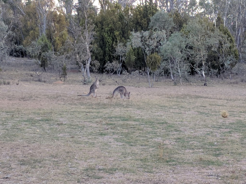 Clancys Walking Track | park | 4 Antill St, Watson ACT 2602, Australia