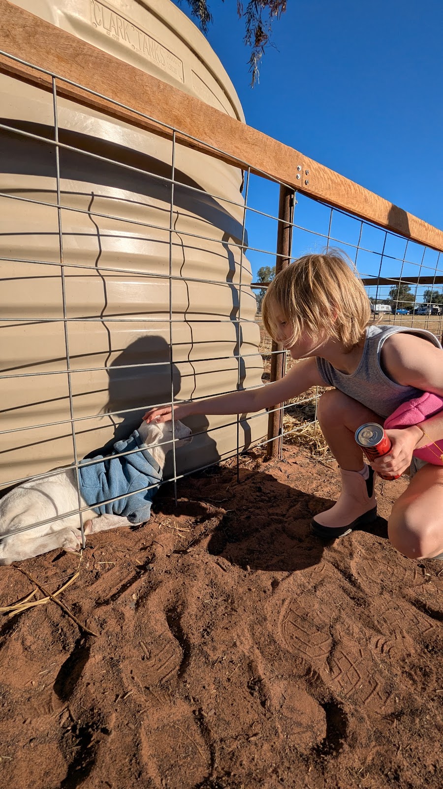 Charlotte plains artesian baths | 1993 Charlotte Plains Rd, Cunnamulla QLD 4490, Australia | Phone: (07) 4488 8804