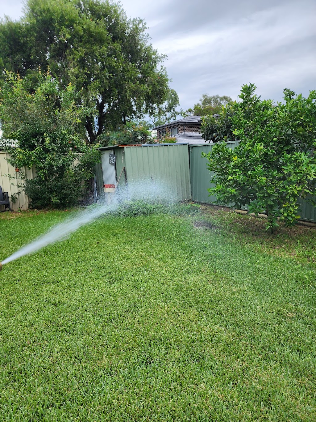 Terminate Pest Control | Halifax Way, Gledswood Hills NSW 2557, Australia | Phone: 0433 870 651