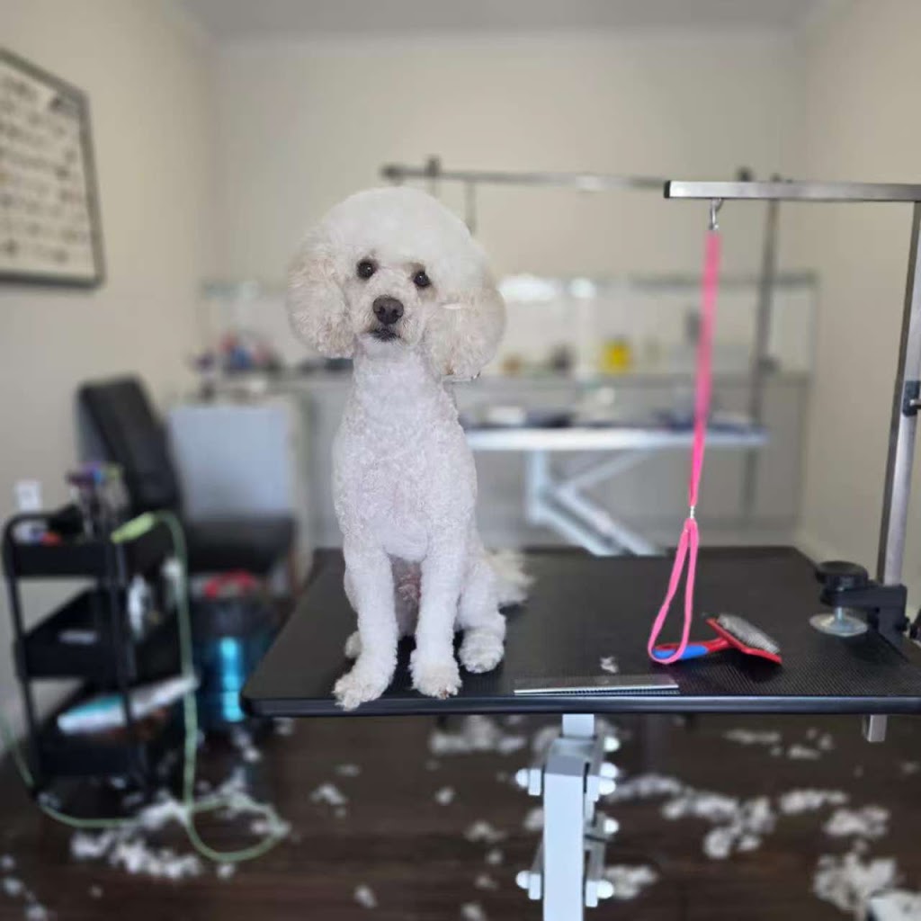 Dreamy Pet Grooming | 142 Greaves Rd, Narre Warren South VIC 3805, Australia | Phone: 0450 801 015