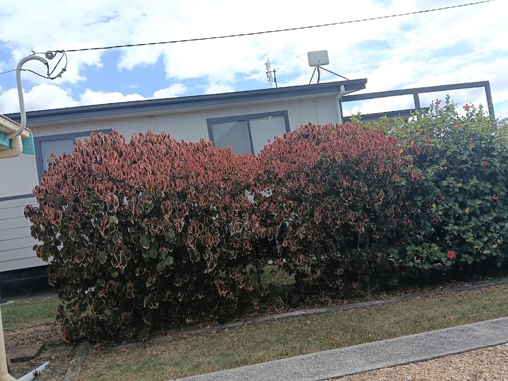 Essential Scotty Pty Ltd | Ryries Rd, Lawrence NSW 2460, Australia | Phone: 0459 419 420