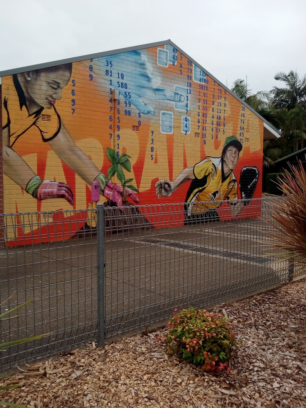 Photo by Pamela Saunders. Narranga Public School | school | Robin St, Coffs Harbour NSW 2450, Australia | 0266521106 OR +61 2 6652 1106
