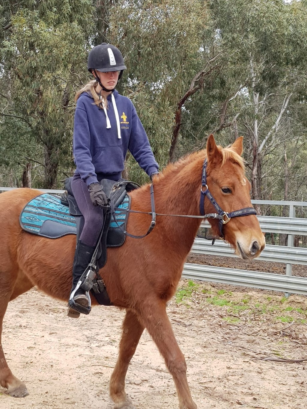 Victorian Equine Training |  | 35 Crosier Rd, Happy Valley VIC 3360, Australia | 0422609571 OR +61 422 609 571