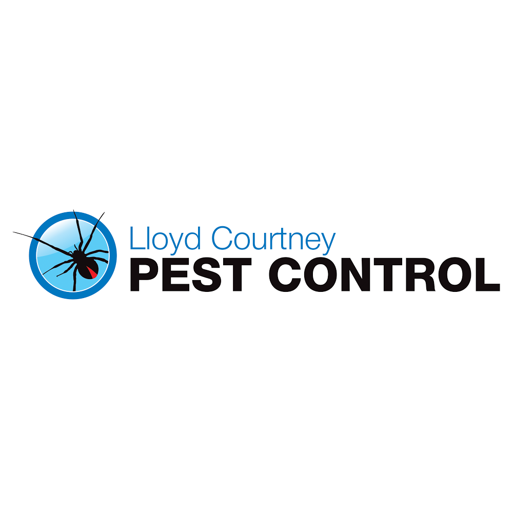 Lloyd Courtney Pest Control | 23 Vanessa Dr, Dalby QLD 4405, Australia | Phone: 0427 556 932