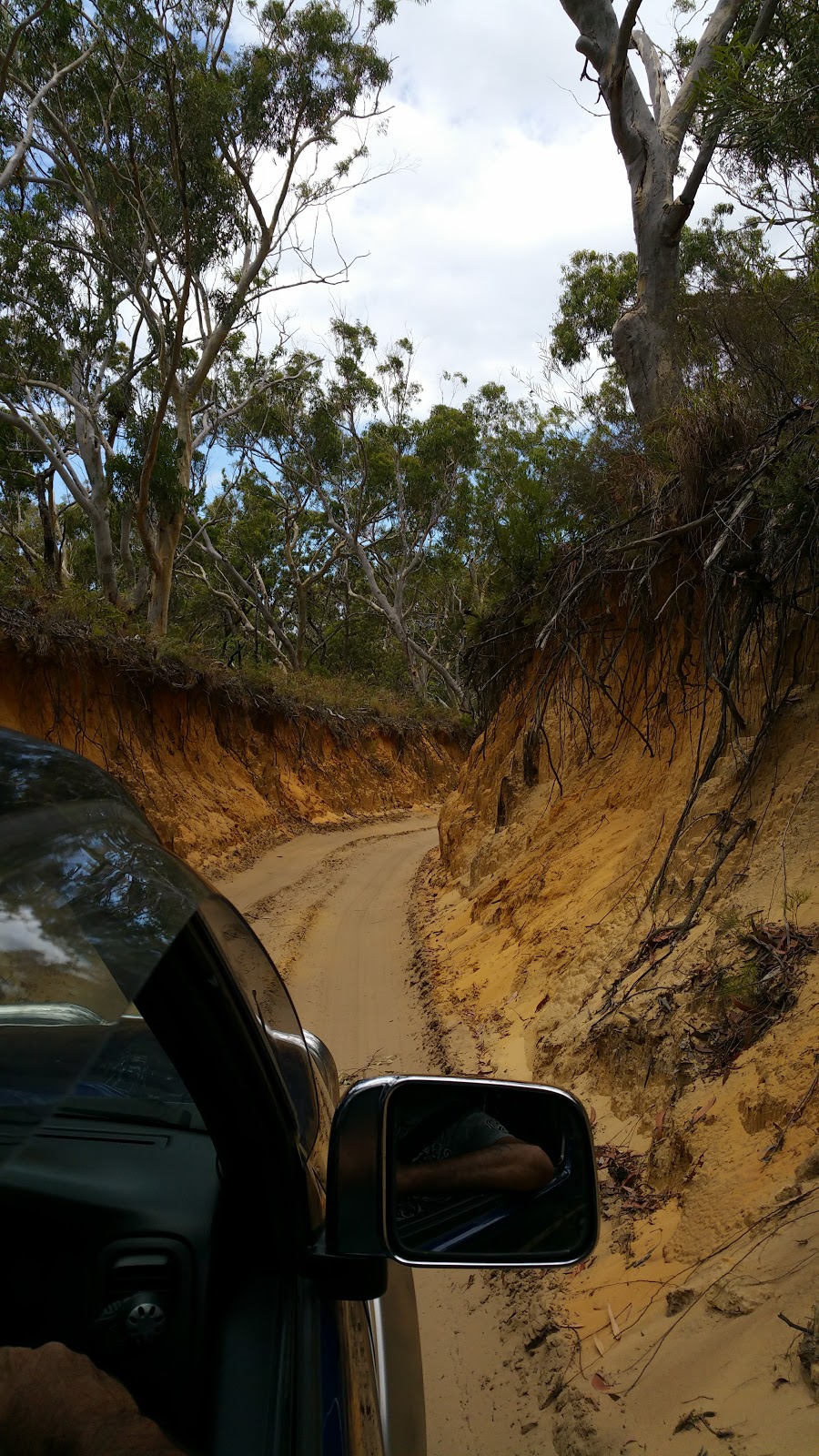 Hooked on Moreton Adventures | 100 Moreton St, Bulwer QLD 4025, Australia