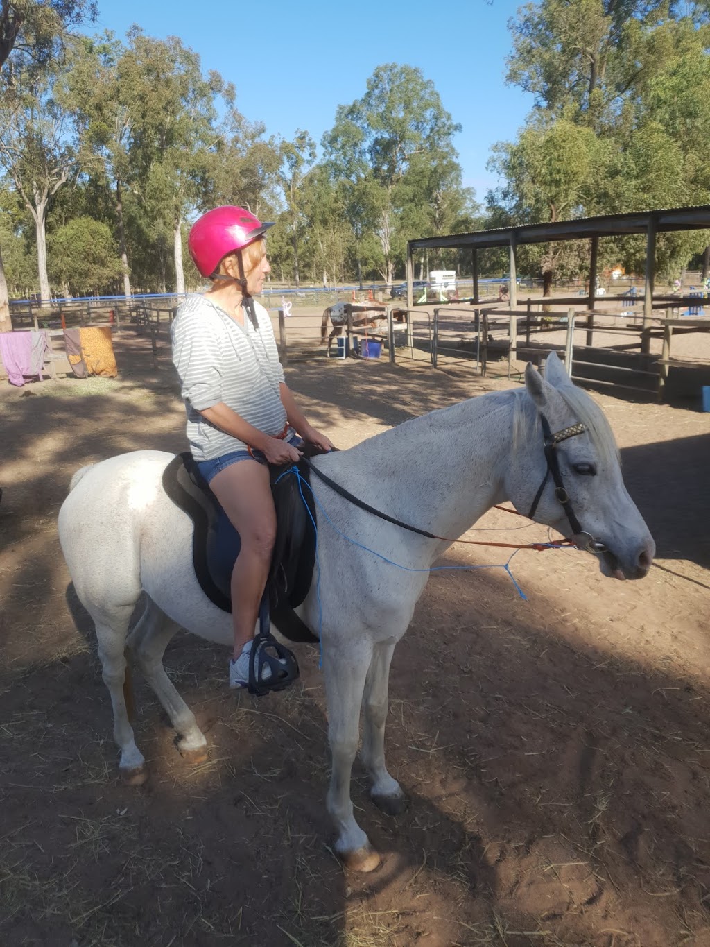 Nels Horse Riding School | travel agency | 185 Alfred Rd, Stockleigh QLD 4280, Australia | 0755468815 OR +61 7 5546 8815