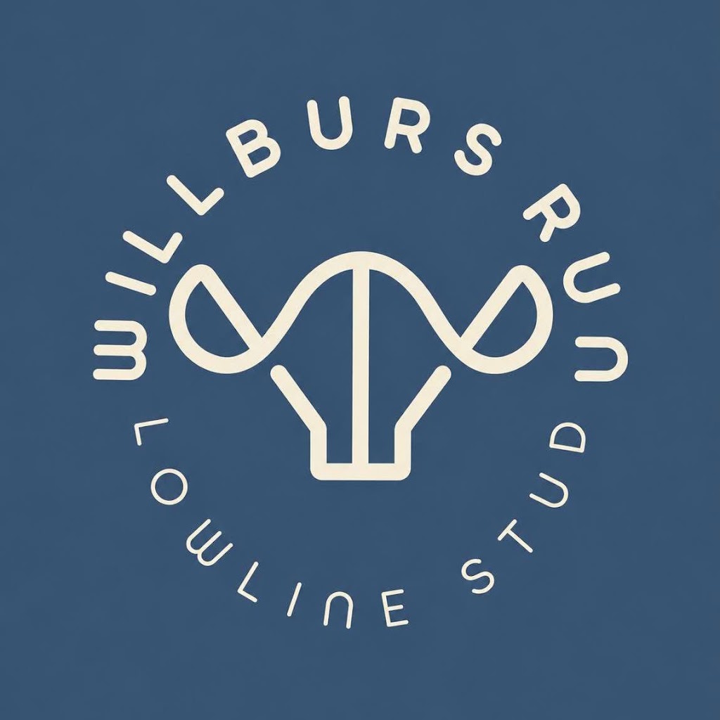 Willburs Run Lowline Stud | 1697 Arcadia Two Chain Rd, Miepoll VIC 3666, Australia | Phone: 0494 020 561