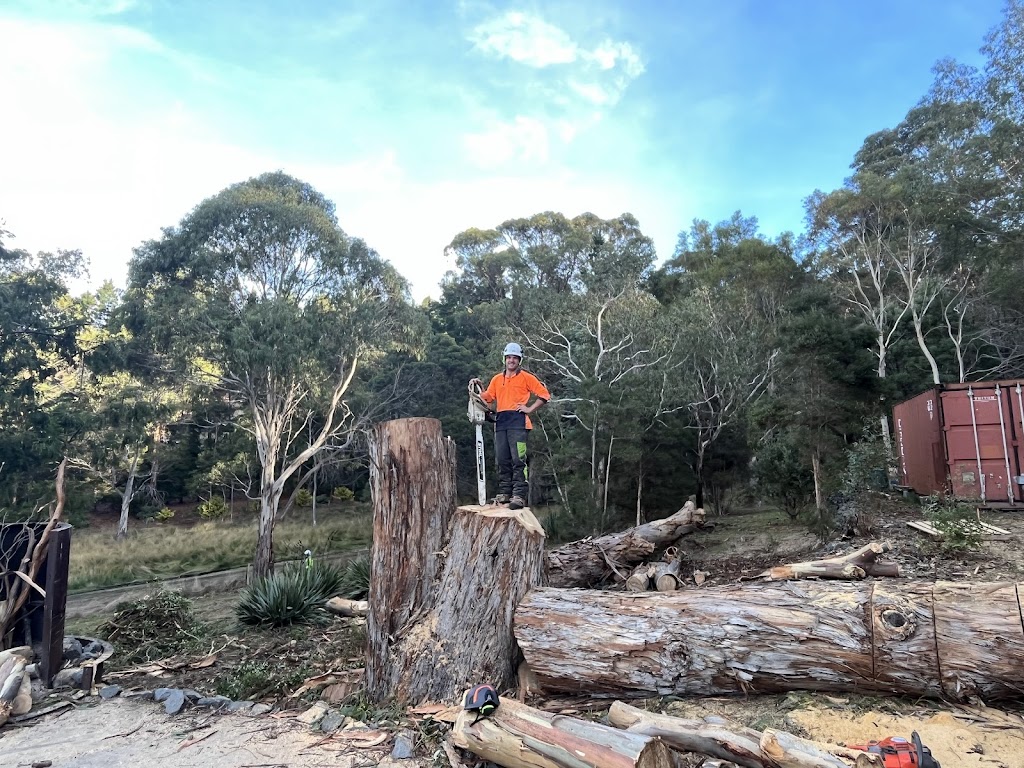The Green Barber Tree Service | 70 Carlton Beach Rd, Dodges Ferry TAS 7173, Australia | Phone: 0433 804 284