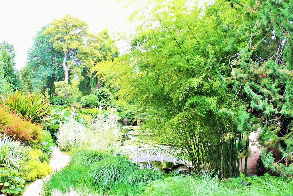 Royal Tas Botanical Gardens | park | 11 Lower Domain Rd, Queens Domain TAS 7000, Australia