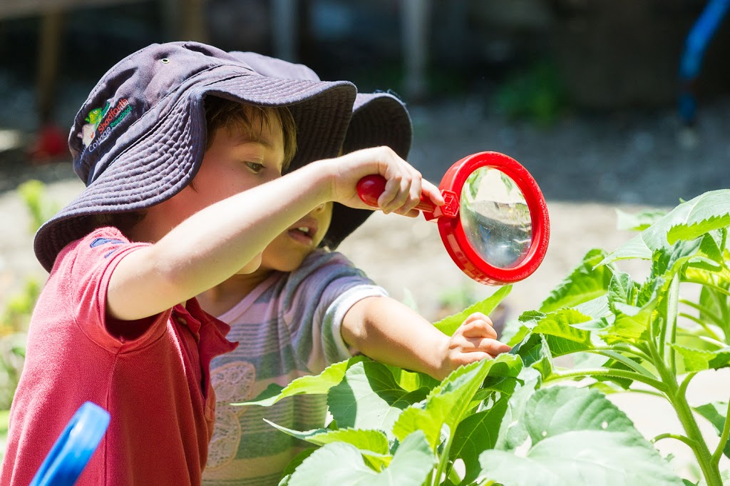 Shadforth Preschool | 129 Avenue Rd, Mosman NSW 2088, Australia | Phone: (02) 9969 0550