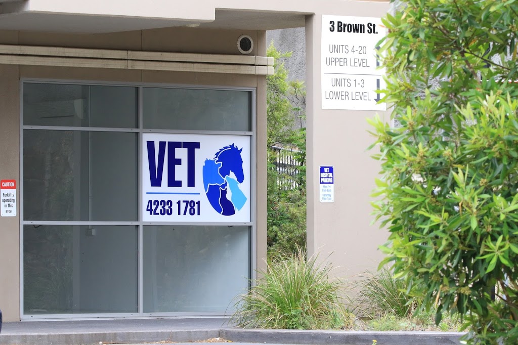 South Coast Veterinary Hospital | veterinary care | 3/3 Brown St, Kiama NSW 2533, Australia | 0242331781 OR +61 2 4233 1781