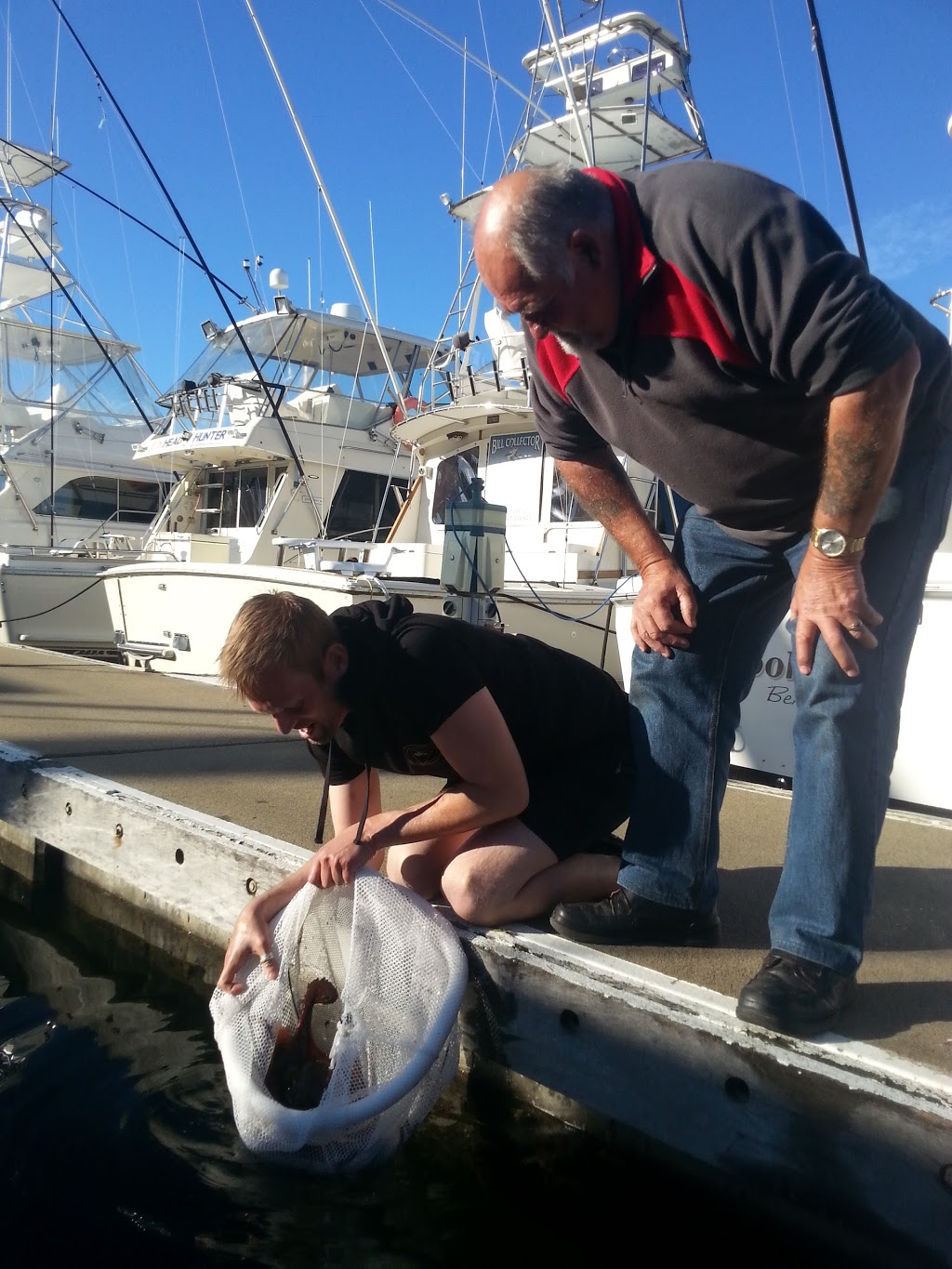 Bermagui Fishermens Wharf | art gallery | 73-79 Lamont St, Bermagui NSW 2546, Australia | 0264935725 OR +61 2 6493 5725