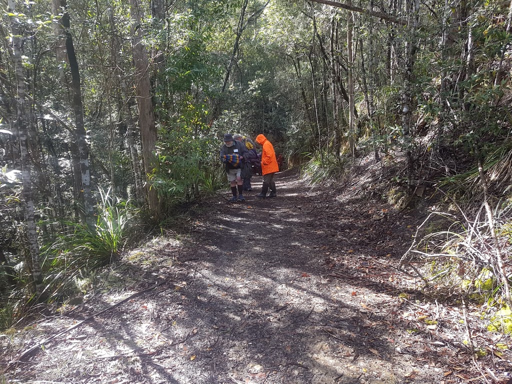 Fernglade Reserve Lookout | park | 137 Rutherford Rd, Stowport TAS 7321, Australia