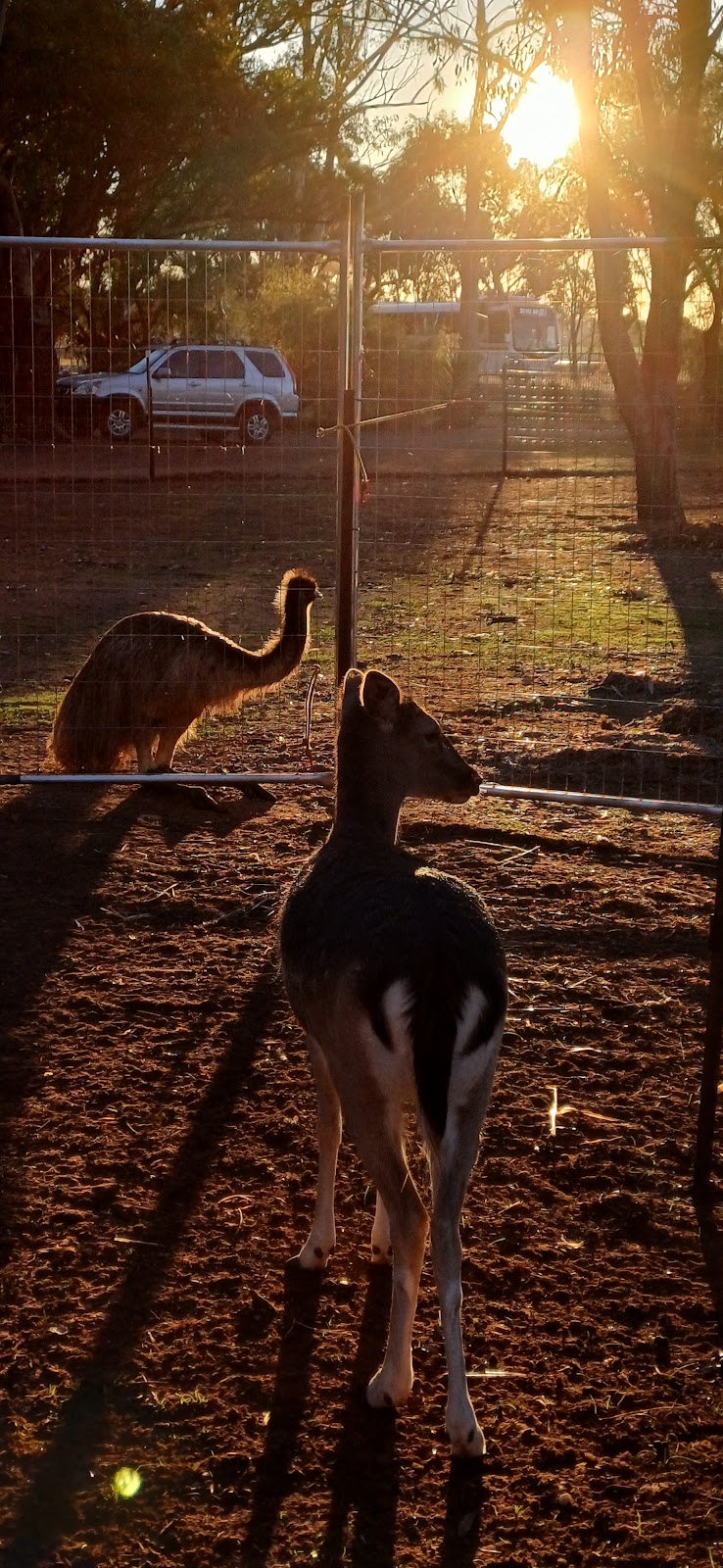 Hooves of Empowerment | Tootool NSW 2655, Australia | Phone: 0423 980 616