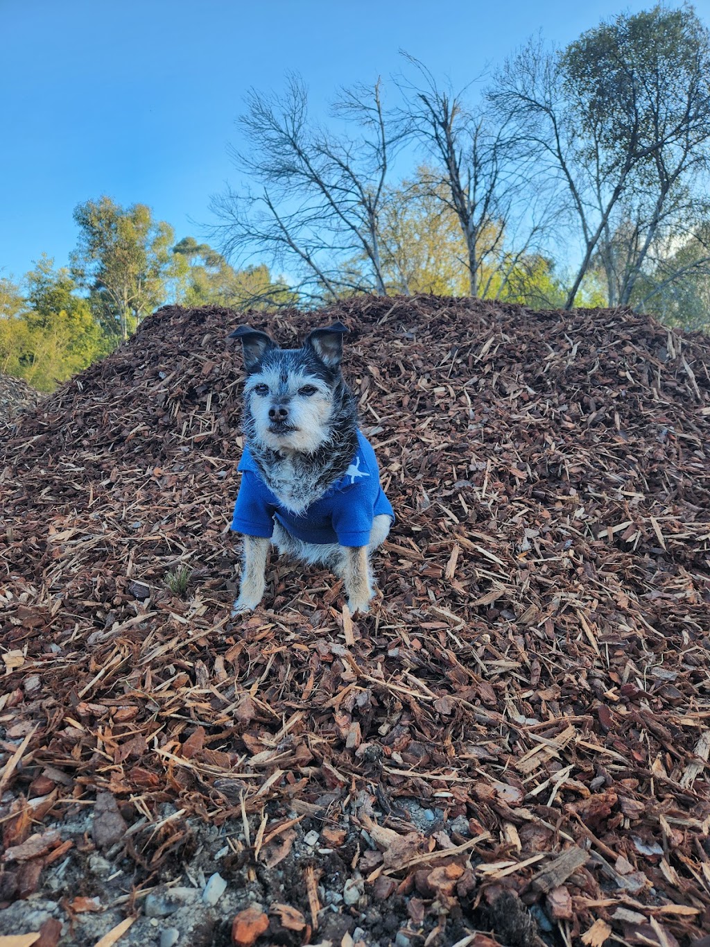 Bird in a Garden, Landscape and Garden Supplies. | 2687 Warburton Hwy, Yarra Junction VIC 3799, Australia | Phone: (03) 5967 1517