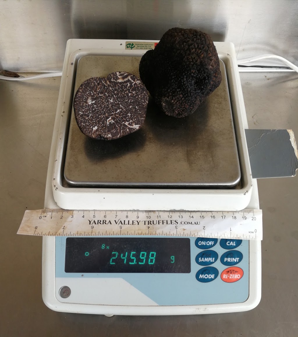 Yarra Valley Truffles | 70 Owens Rd, Woori Yallock VIC 3139, Australia | Phone: 0432 878 396