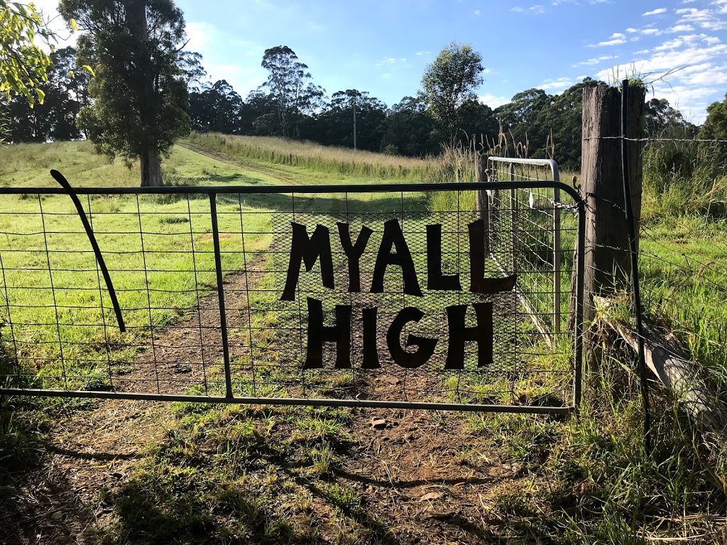 Myall High Coastal Hinterland Accommodation | 239 Hubbards Rd S, Topi Topi NSW 2423, Australia | Phone: 0427 355 243