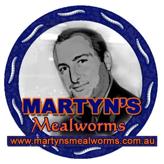 Martyns Mealworms | store | 8 Sandner Grove, Golden Square VIC 3555, Australia | 0473567267 OR +61 473 567 267