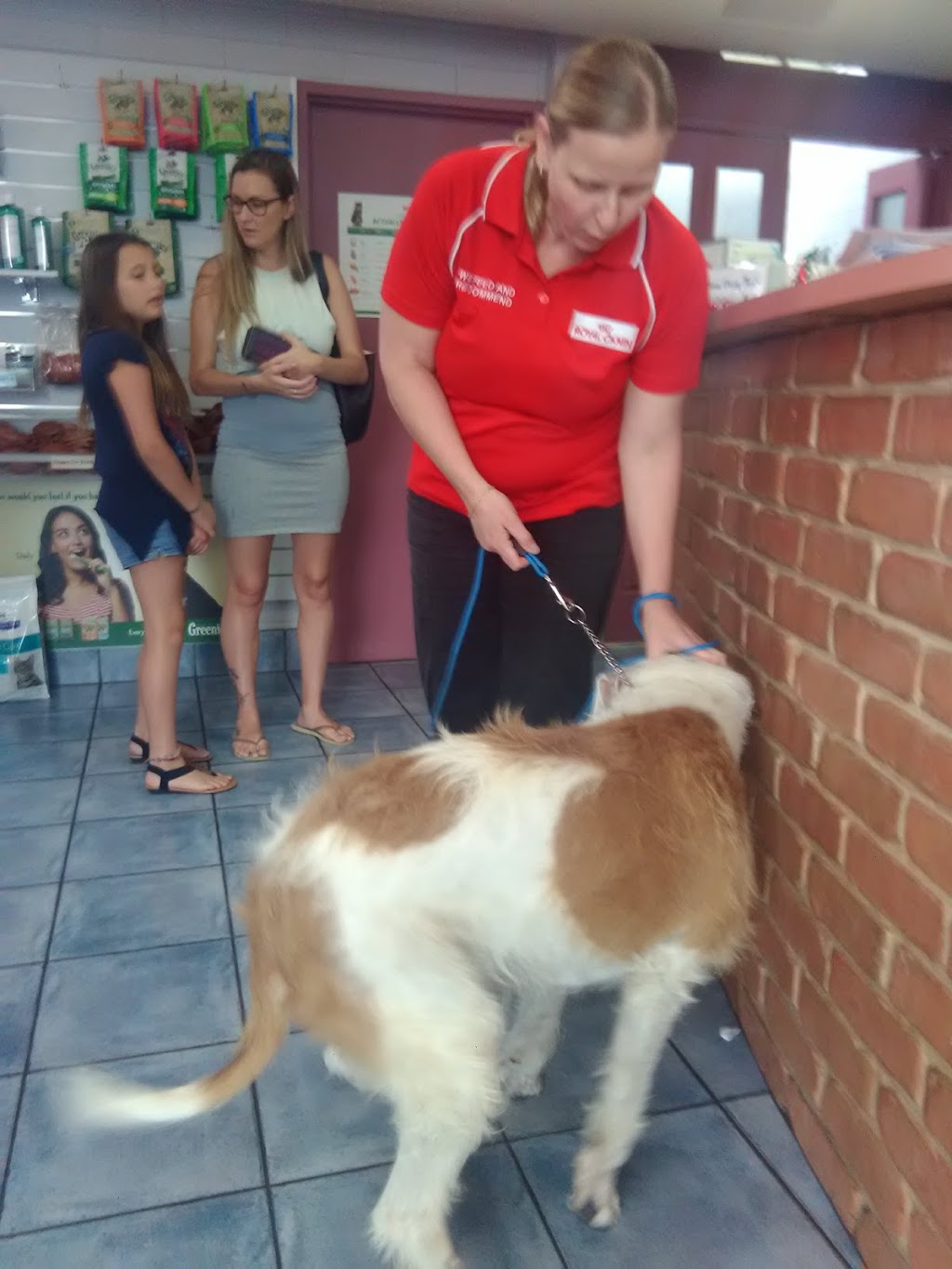 Paws Galore Vets | veterinary care | 145/147 Beach Rd, Christies Beach SA 5165, Australia | 0883828055 OR +61 8 8382 8055