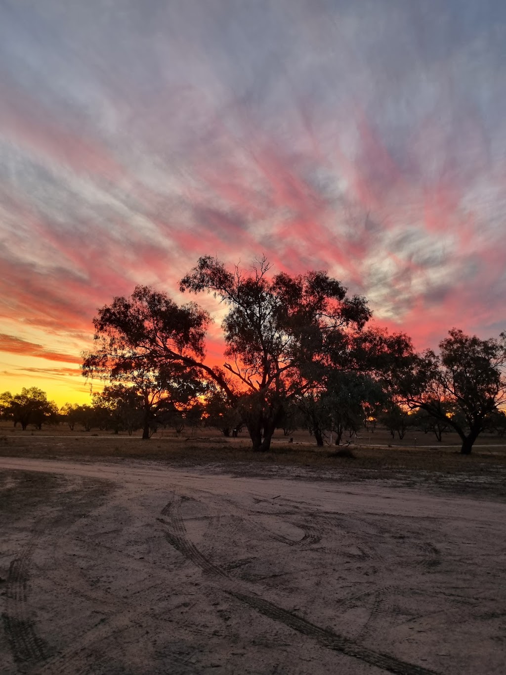 Allambie’s Camp | 299 Janbeth Rd, Bourke NSW 2840, Australia | Phone: 0423 597 320