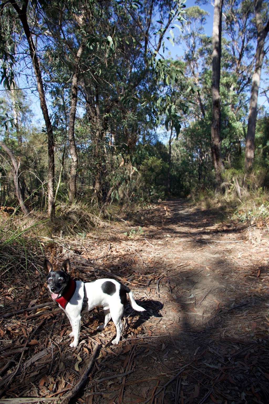 Lin Gordon Reserve | park | Oaks Rd, Thirlmere NSW 2572, Australia