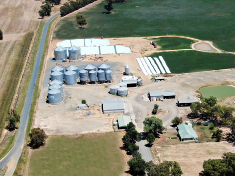 Brahman Commodities | 15 Reapers Rd, Culcairn NSW 2660, Australia | Phone: 0435 855 108
