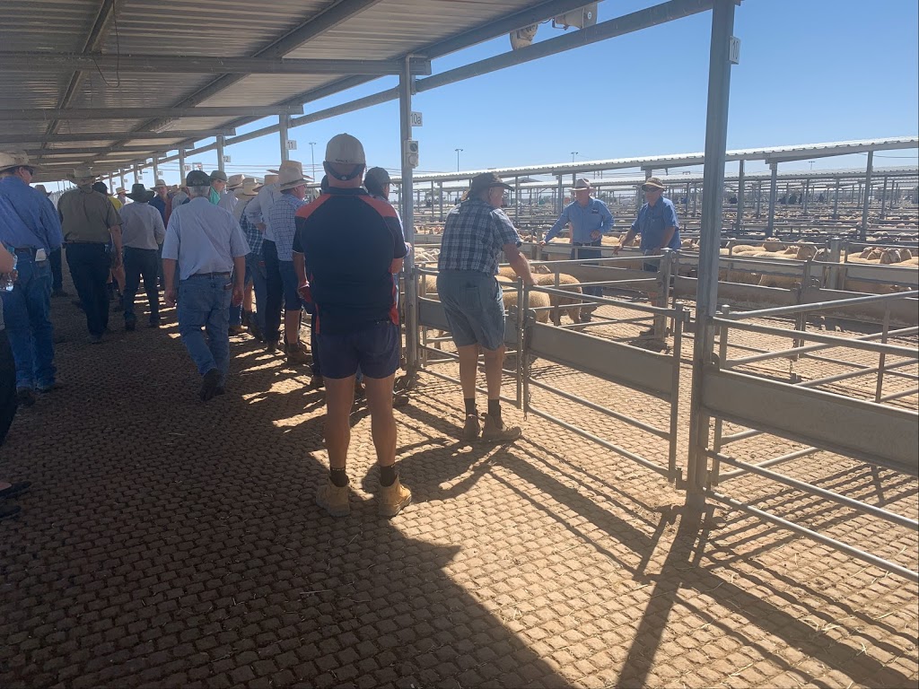 Forbes Central West Livestock Exchange |  | Back Yamma Rd, Daroobalgie NSW 2871, Australia | 0268533194 OR +61 2 6853 3194