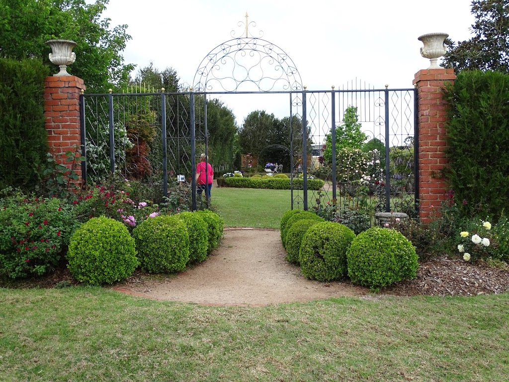 Brindabella Country Gardens Roses | 17 Quinlan Rd, Blue Mountain Heights QLD 4350, Australia | Phone: (07) 4696 8440