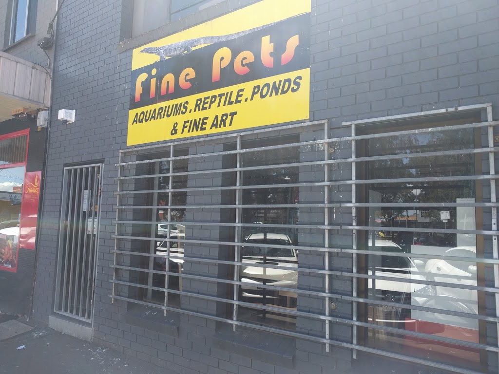 Fine Pets | 34 Fitzgerald St, Portland VIC 3305, Australia | Phone: 0422 554 872