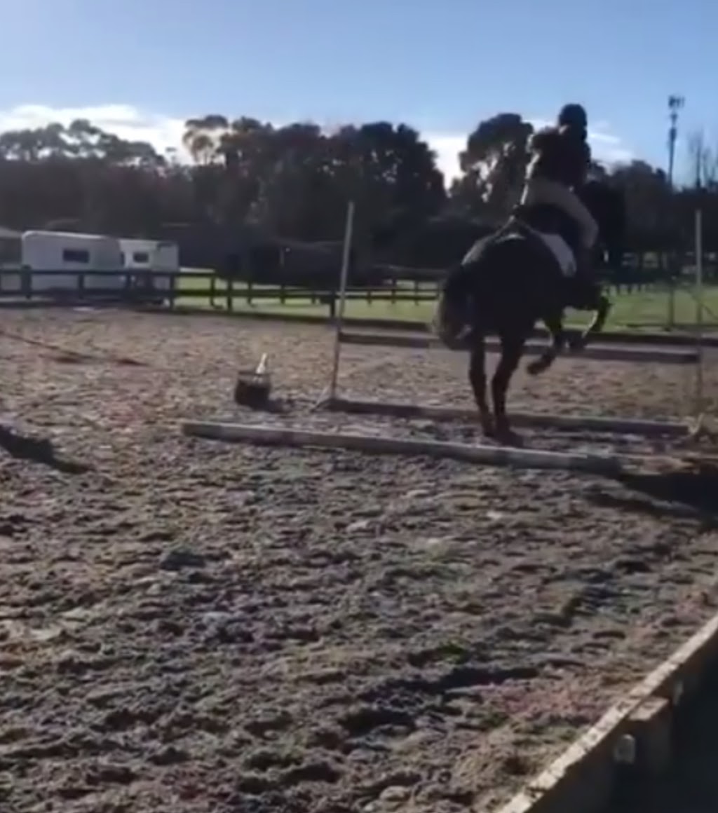 DARWIN PARK EQUESTRIAN | 22 Mountain Flat Rd, Narre Warren East VIC 3804, Australia | Phone: 0419 865 051