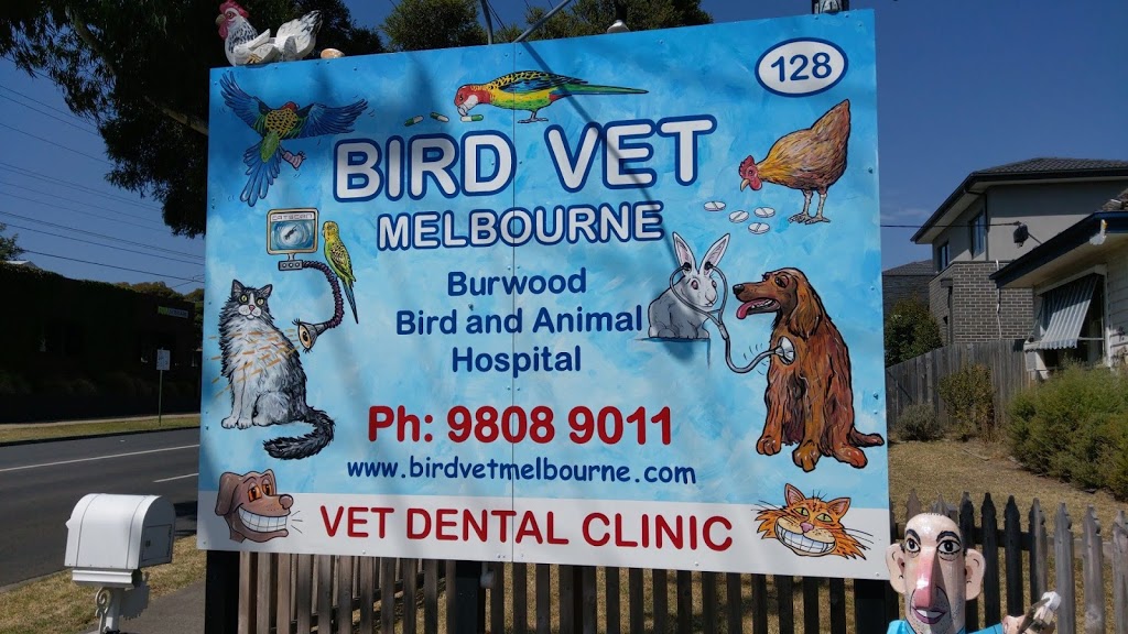 Bird Vet Melbourne | veterinary care | 128 Highbury Rd, Burwood VIC 3125, Australia | 0398089011 OR +61 3 9808 9011