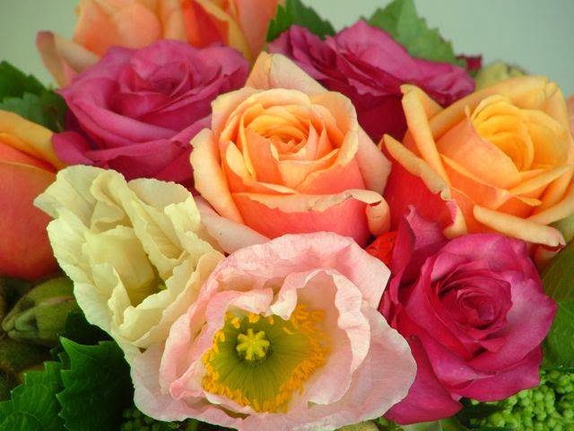 Botania Flower Merchants | florist | Macpherson St, Warriewood NSW 2102, Australia | 0299744317 OR +61 2 9974 4317