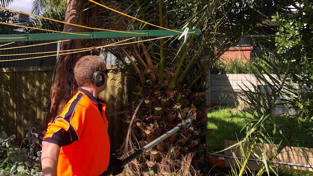 FTGU Tree Services | 10 Brigadoon St, Happy Valley SA 5159, Australia | Phone: 0439 464 935