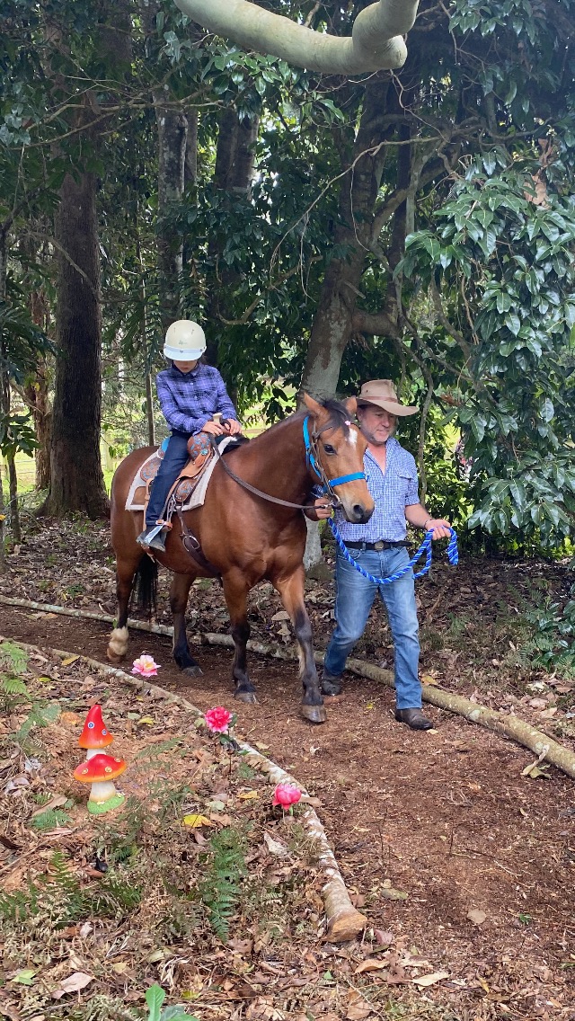 Hinterland Horses Byron Bay | 22 Blackbean Ln, Federal NSW 2481, Australia | Phone: 0407 813 321