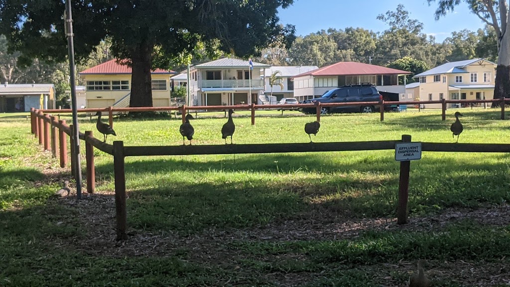 Seaforth Camping Reserve | 22 Palm Ave, Seaforth QLD 4741, Australia | Phone: 0427 373 358