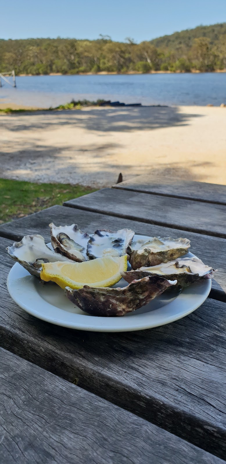 Pambula Oyster Co. | Shed 5/52 Landing Rd, Broadwater NSW 2549, Australia | Phone: 0402 760 647