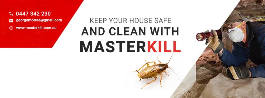 Master Kill Pest Control Maitland | S Seas Dr, Ashtonfield NSW 2323, Australia | Phone: 0447 342 230