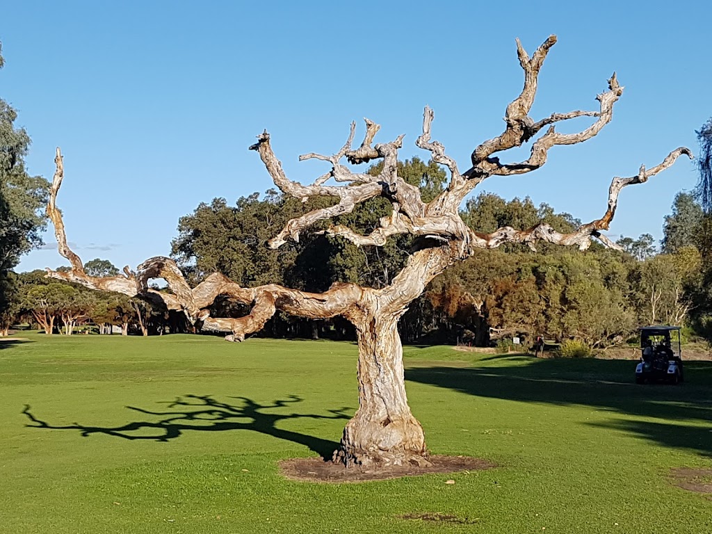 Marri Park Golf Course | 34 Marri Park Dr, Casuarina WA 6167, Australia | Phone: (08) 9419 3037