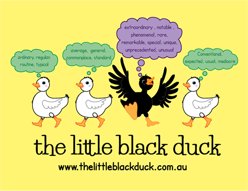 The Little Black Duck | point of interest | 418 Wilson St, Albury NSW 2640, Australia | 0407056442 OR +61 407 056 442