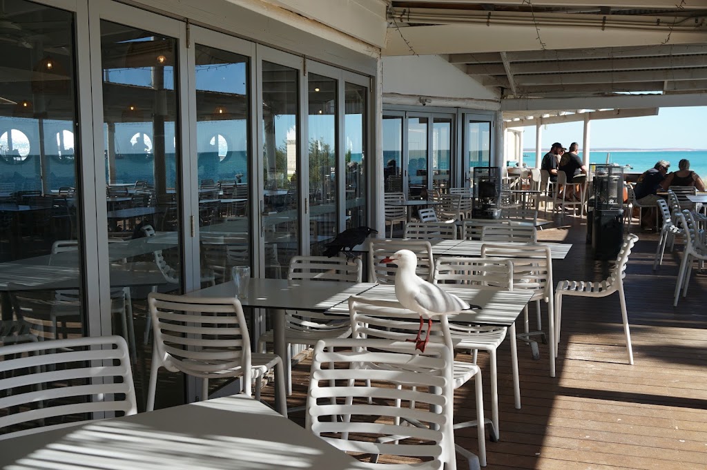 Boughshed Restaurant | 1 Monkey Mia Rd, Monkey Mia WA 6537, Australia | Phone: (08) 9948 1171
