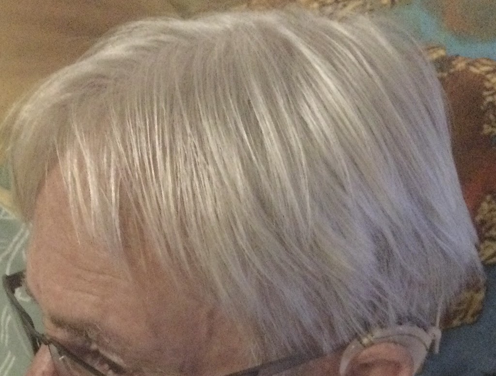 Trim Time Beenleigh | Beenleigh Mall, 70 Main St, Beenleigh QLD 4207, Australia | Phone: 0488 160 298