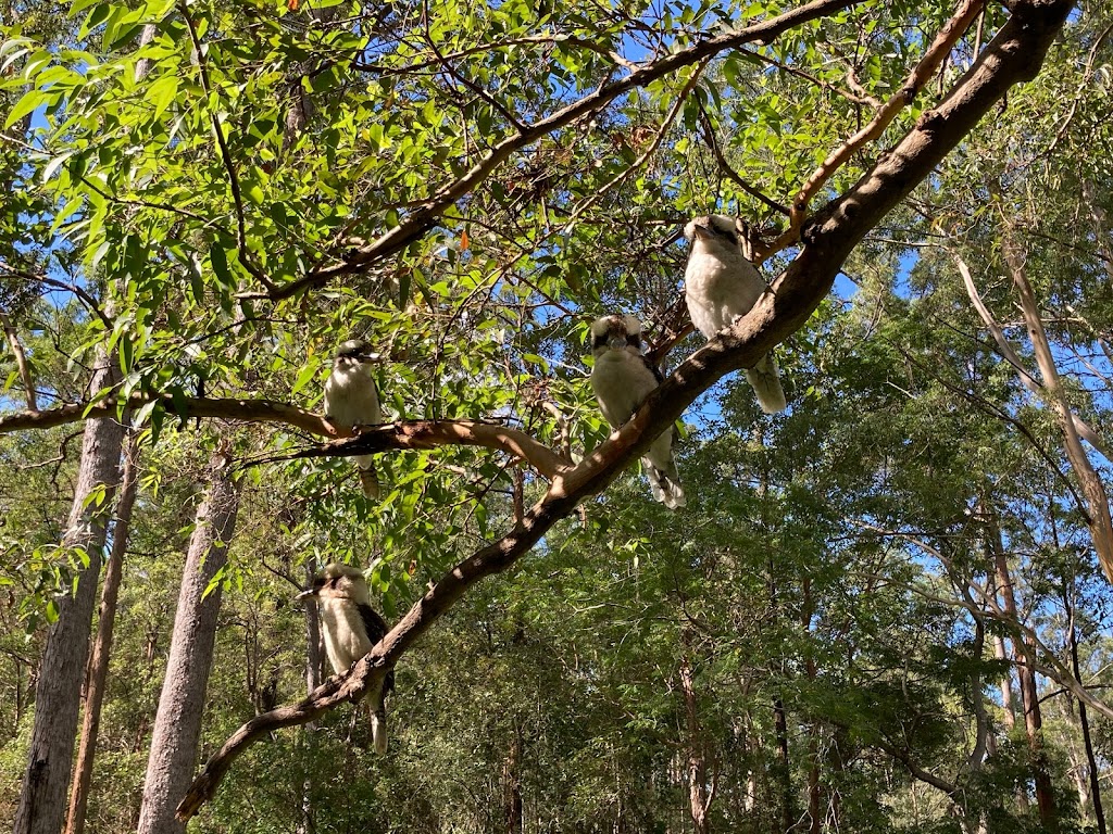 Ironbark Gully | Samford Rd, Ferny Hills QLD 4055, Australia | Phone: 13 74 68