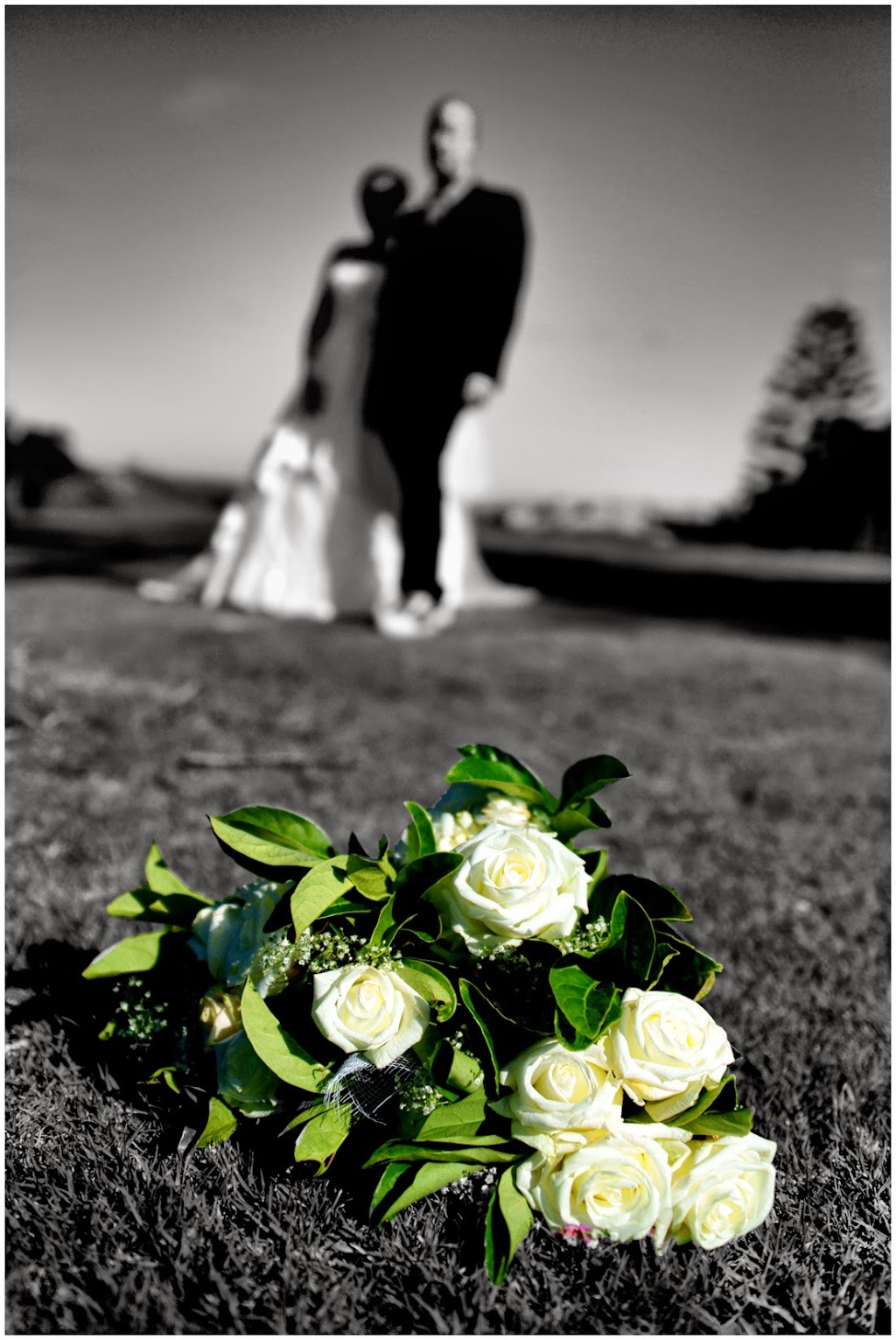 Duncan James Photography | Marion Ct, Mildura VIC 3500, Australia | Phone: 0401 207 328