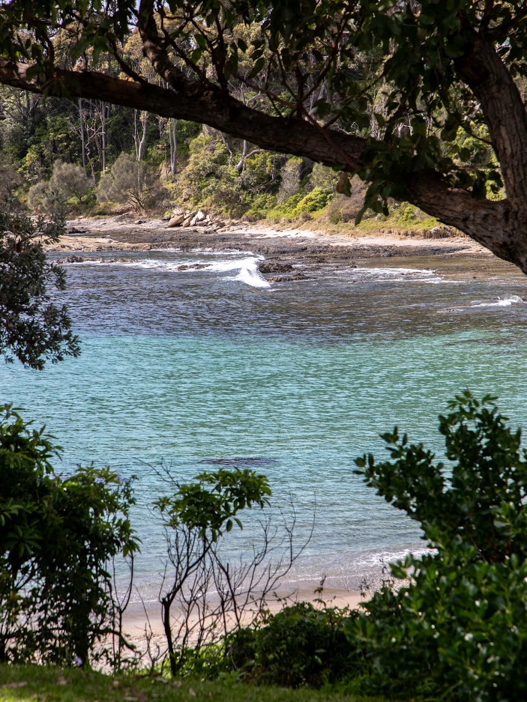 Shelter Malua | 74 Iluka Ave, Malua Bay NSW 2536, Australia | Phone: 0414 133 323