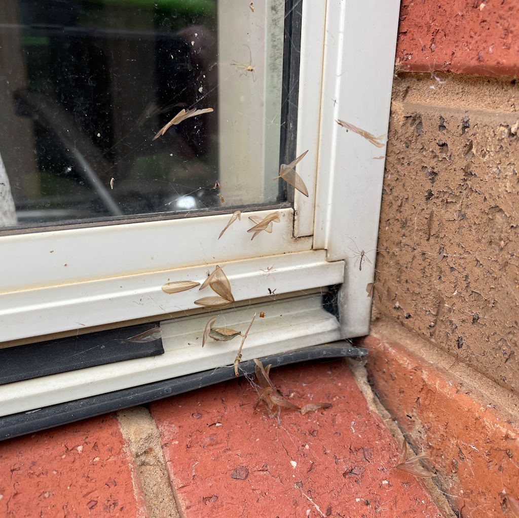 Macedon Ranges Termite Specialist Pty Ltd | 5 Rimfire Ct, New Gisborne VIC 3438, Australia | Phone: 0422 370 058