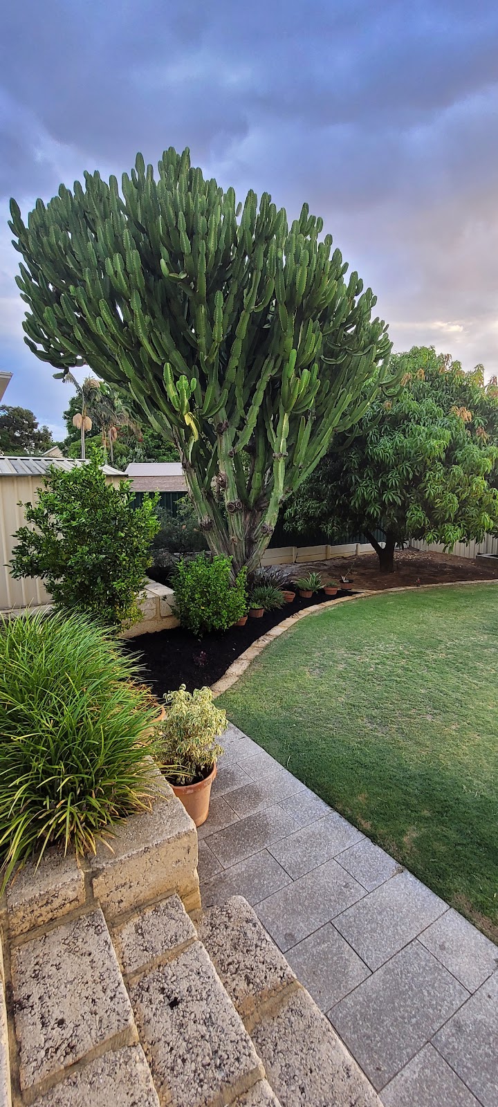 OConnors Garden Maintenance | Scenic Dr, Maida Vale WA 6057, Australia | Phone: 0434 372 165